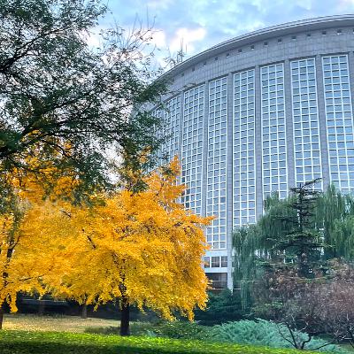 China continues to advance sustainable development with other countries: spokesperson