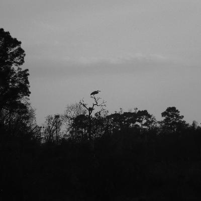 The P.O.W camp recreation area in Saucier, MS