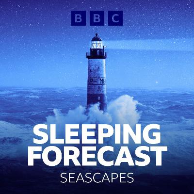 A bed of waves for a tranquil rest