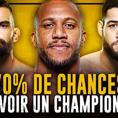 Ciryl Gane, Nassourdine Imavov ou BSD pour marquer l'histoire du MMA Français ?