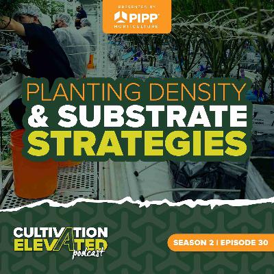 030 - Planting Density & Substrate Strategies