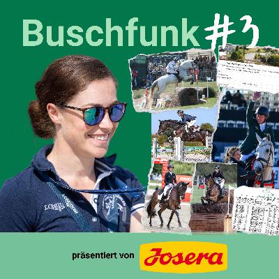 STAFFEL 4 FOLGE #23 – Buschfunk #3 – Die wichtigsten News aus der Vielseitigkeit präsentiert von Josera Pferdefutter STAFFEL 4 FOLGE #23 – Buschfunk #3 – Die wichtigsten News aus der Vielseitigkeit präsentiert von Josera Pferdefutter