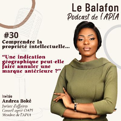 #30 | Une indication géographique peut-elle faire annuler une marque antérieure ?