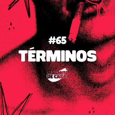 #65 Términos