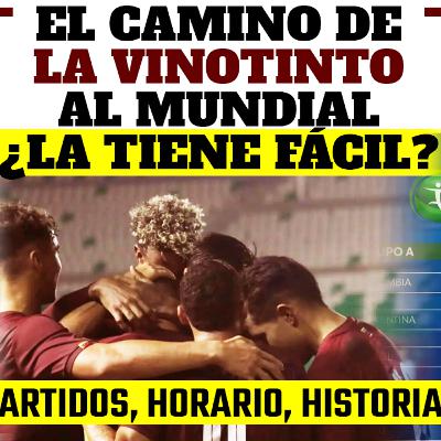 EL CAMINO DE VENEZUELA AL MUNDIAL 2023 - ¿GRUPO FÁCIL PARA LA VINOTINTO? EL CAMINO DE VENEZUELA AL MUNDIAL 2023 - ¿GRUPO FÁCIL PARA LA VINOTINTO?