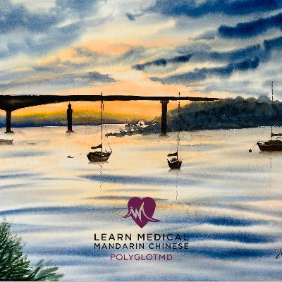 Episode 5: Aggravating Factors