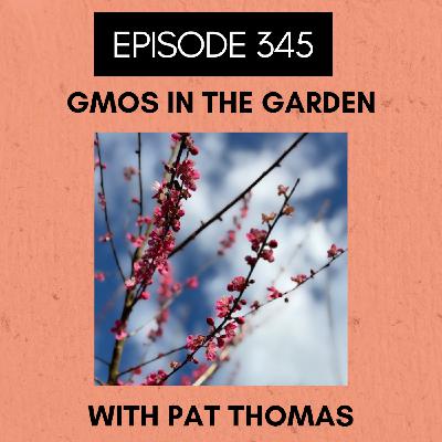 Episode 345: GMOs in the Garden