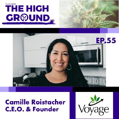 The High Cost of Low Space - Camille Roistacher of Voyage Distribution & WYLLOW
