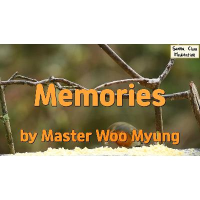 🕊️ Memories : karma, past lives, mind, truth, freedom, selflessness, enlightenment | Master Woo Myung | Santa Clara Meditation