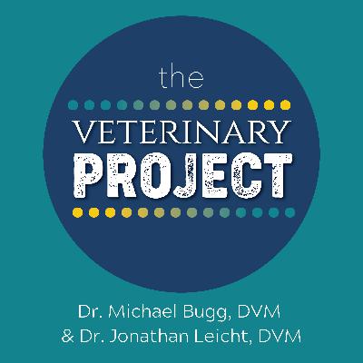 Spring turns to Summer for The Veterinary Project Spring turns to Summer for The Veterinary Project
