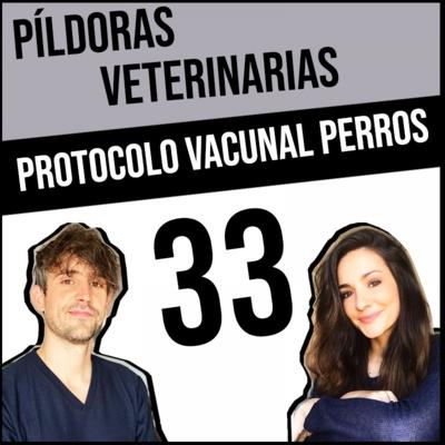 33. Protocolos de vacunación en perros adultos #Veterinaria #Vacunación #Perros