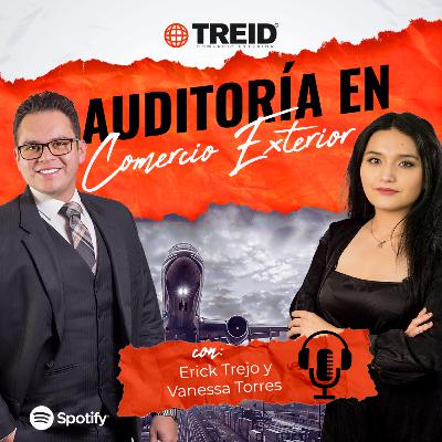 EP. 10 Auditoria en Comercio Exterior