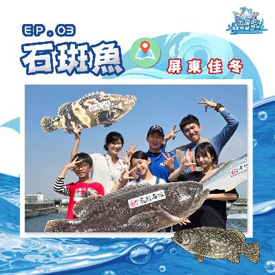 出發吧!鱻魚練習生|第三個試煉|學習技能【沉穩】- 石斑魚 出發吧!鱻魚練習生|第三個試煉|學習技能【沉穩】- 石斑魚