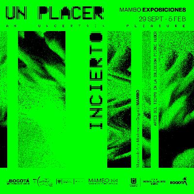 Audioguía de la exposición 'Un placer incierto: artes del tiempo en la Colección Pierre Huber'