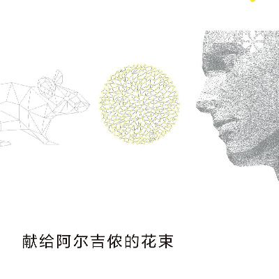 《献给阿尔吉侬的花束》--你会服下让你变成天才的药丸吗? 《献给阿尔吉侬的花束》--你会服下让你变成天才的药丸吗?