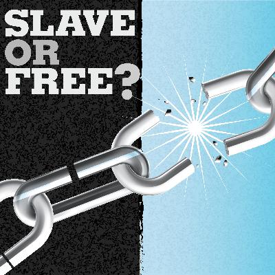 Slave or Free? Slave or Free?