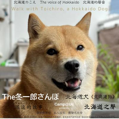 The 冬一郎さんぽ #101 　北海道犬《北海道狗》 北海道之聲