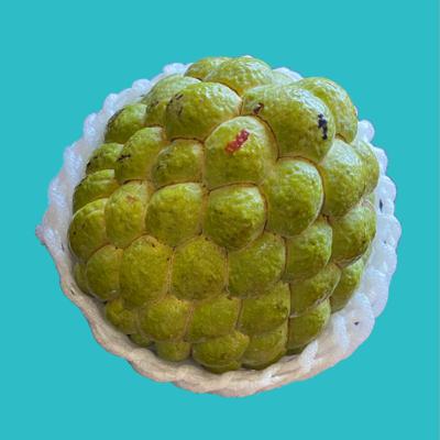 Wax Apples & Eating Grass • 吃蓮霧和草