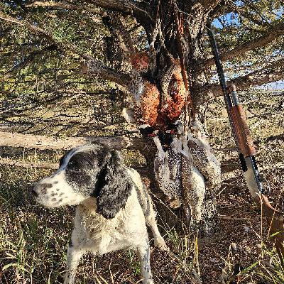 Pheasant & Sharptails South Dakota 2023 Pheasant & Sharptails South Dakota 2023