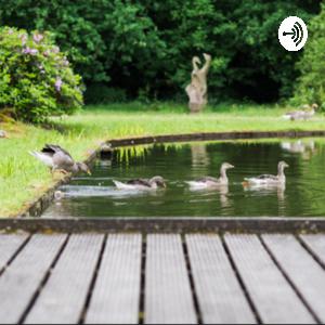 Intro van De Bloeiberg Podcast
