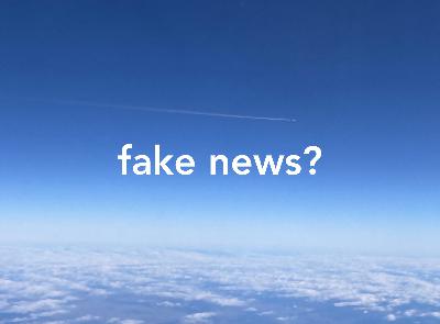 SF205 Umgang mit fake news