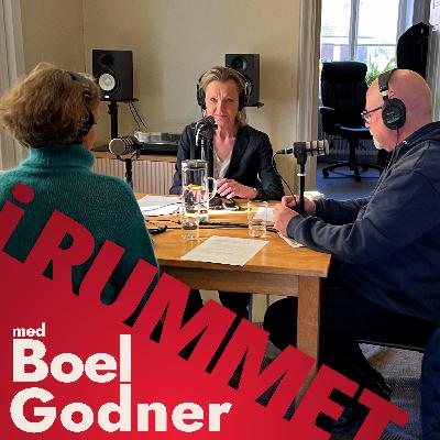#2 Den grova organiserade brottsligheten