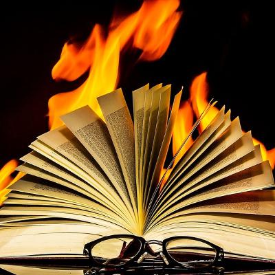 Las vidas elementales apresadas en los libros