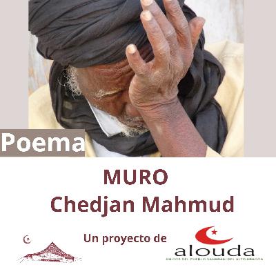 Muro de Chedjan Mahmud