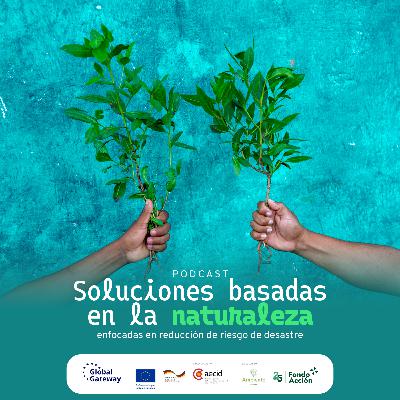 Podcast Soluciones basadas en la naturaleza enfocadas en reducción de riesgo de desastres: capítulo 1