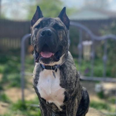 EthanAlmighty Episode 1