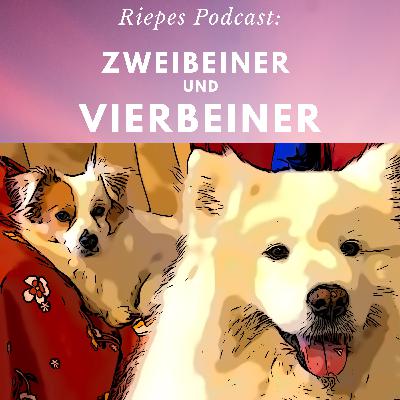 Tobi und die Hierarchie in Hundegruppen