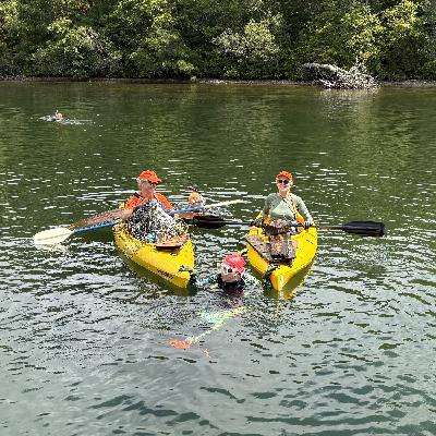 Is finding "flow" the key to happiness?