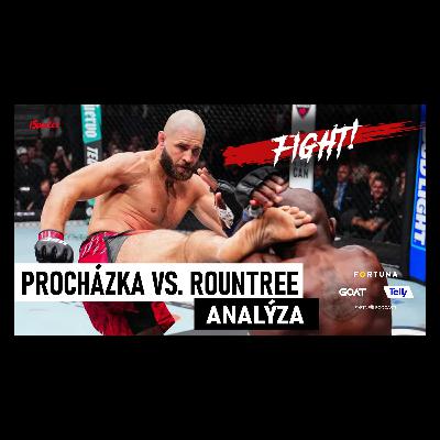 ANALÝZA: Procházkův chaos očima experta. Co rozhodlo, a jak Američan chyboval?