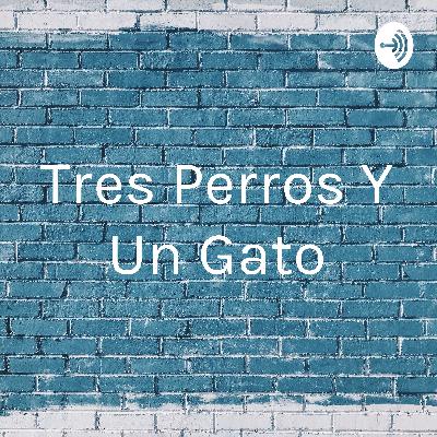 El renacuajo paseador