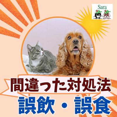 Vaše Přiznání, Která Jsme Neměli Nikdy Číst... | Fantastický Podcast EP. 57