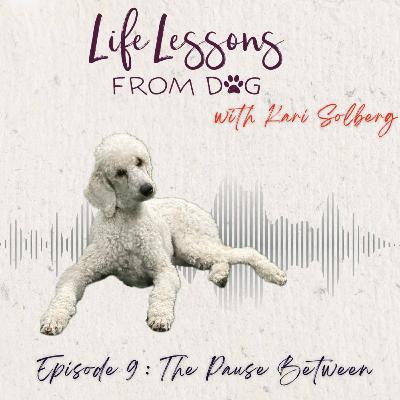 The Pause Between: Learning to Sit in Uncertainty