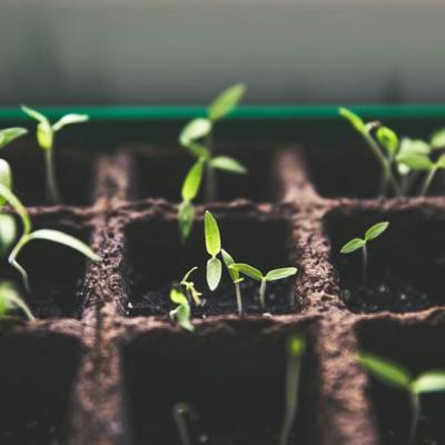 L’incertezza dei mercati e l’importanza della diversificazione - Come fare a mitigare i rischi diversificando i propri investimenti