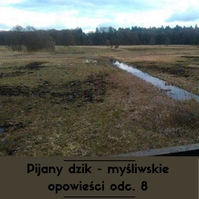 Pijany dzik - myśliwskie opowieści odc. 8