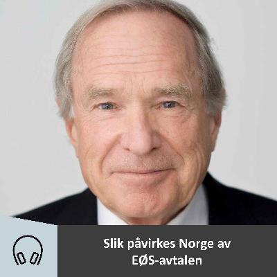 Slik påvirkes Norge av EØS-avtalen