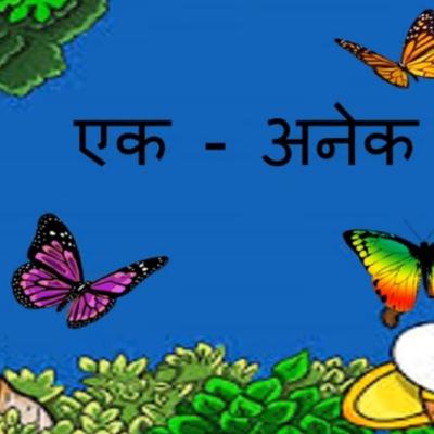 Ek aur anek shabd