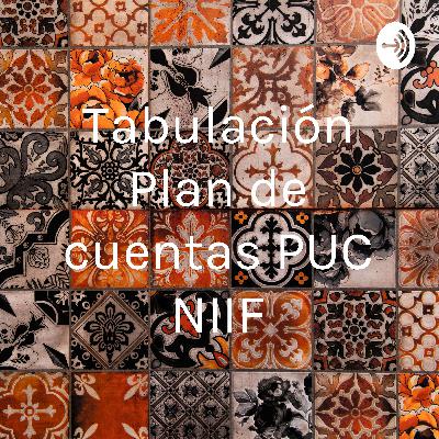 Aprende a tabular el Plan de cuentas Contables bajo NIIF de manera clara y sencilla