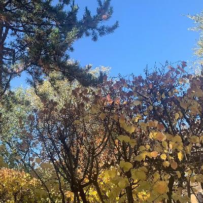 הזמנה לריטריט יום של חיבור פנימה הזמנה לריטריט יום של חיבור פנימה