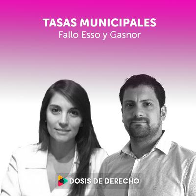 #3- Dosis Tributaria: Tasas Municipales (Fallo Esso y Gasnor)