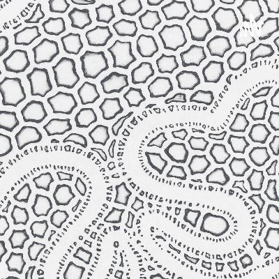 El Bautismo (Trailer)