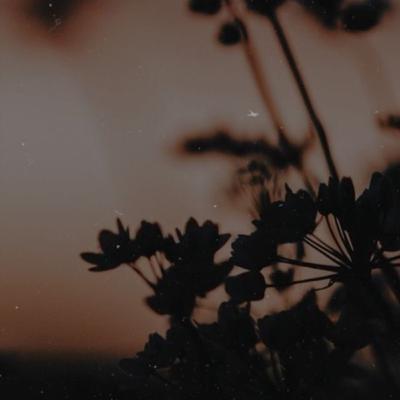 R i n d u