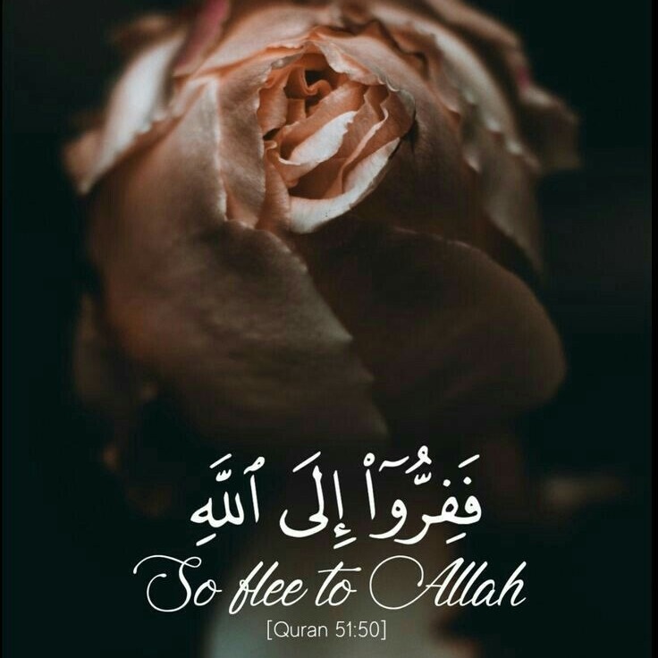 094 - Al-Inshirah