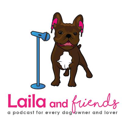 The rise of the Insta Dog star