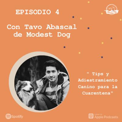 E4. Tips y Adiestramiento Canino para la Cuarentena | Tavo Abascal de Modest Dog E4. Tips y Adiestramiento Canino para la Cuarentena | Tavo Abascal de Modest Dog