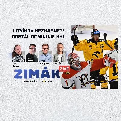 Zimák ŽIVĚ | Reichel trénuje Litvínov! Pardubicím se upsal Sedlák. Pokuty na Spartě