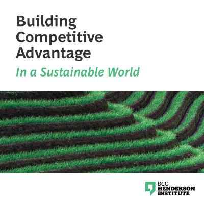 Driving Sustainability Transformation with Eva Riesenhuber